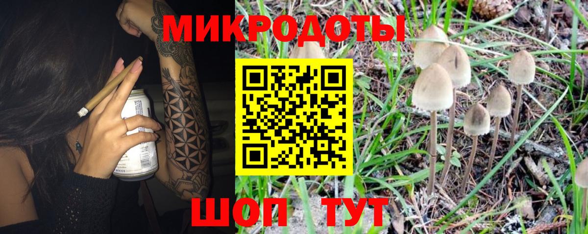как найти закладки  Галлюциногенные грибы Psilocybe  Псилоцибиновые грибы Psilocybine cubensis  Вход с VPN  Звенигород 